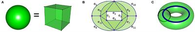 Applications of Topological Data Analysis in Oncology